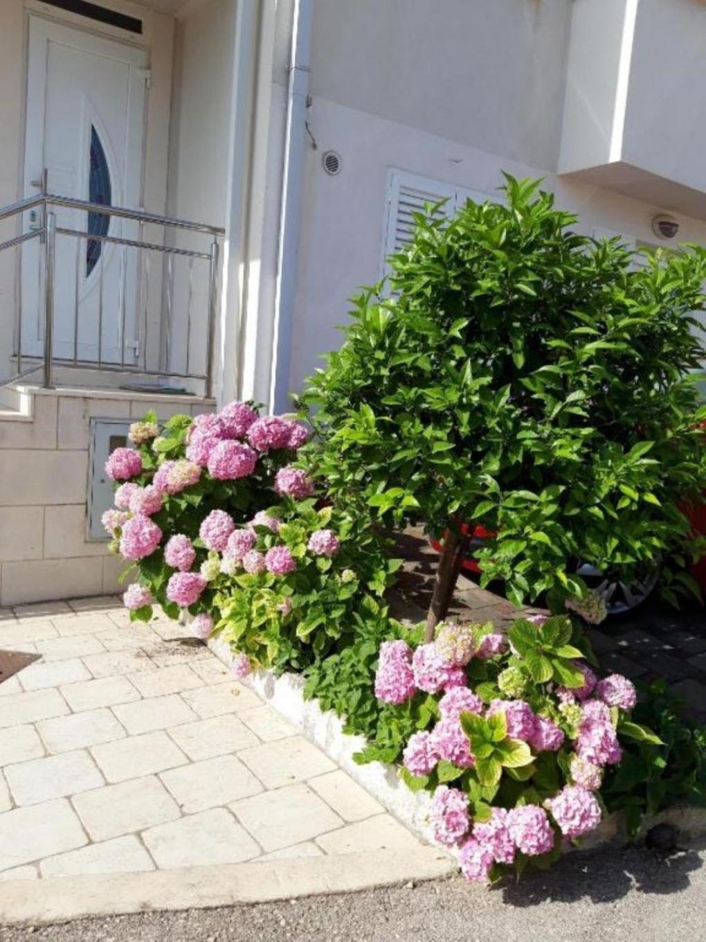Mira - Comfy With Garden Apartment Dubrovnik