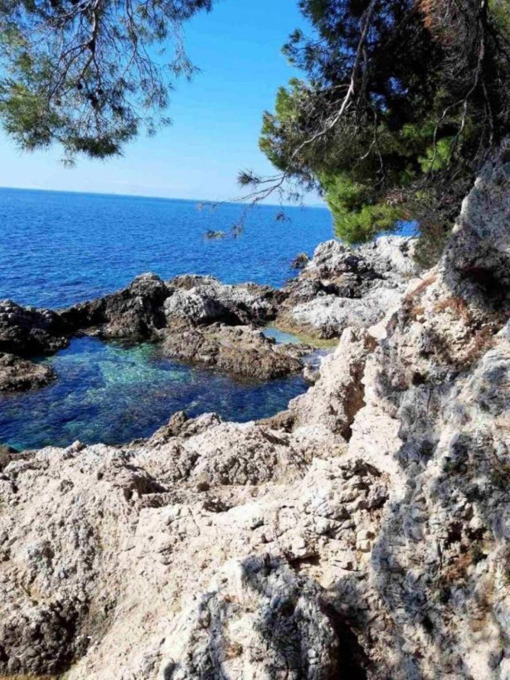 Apartment Mira - Comfy With Garden Dubrovnik