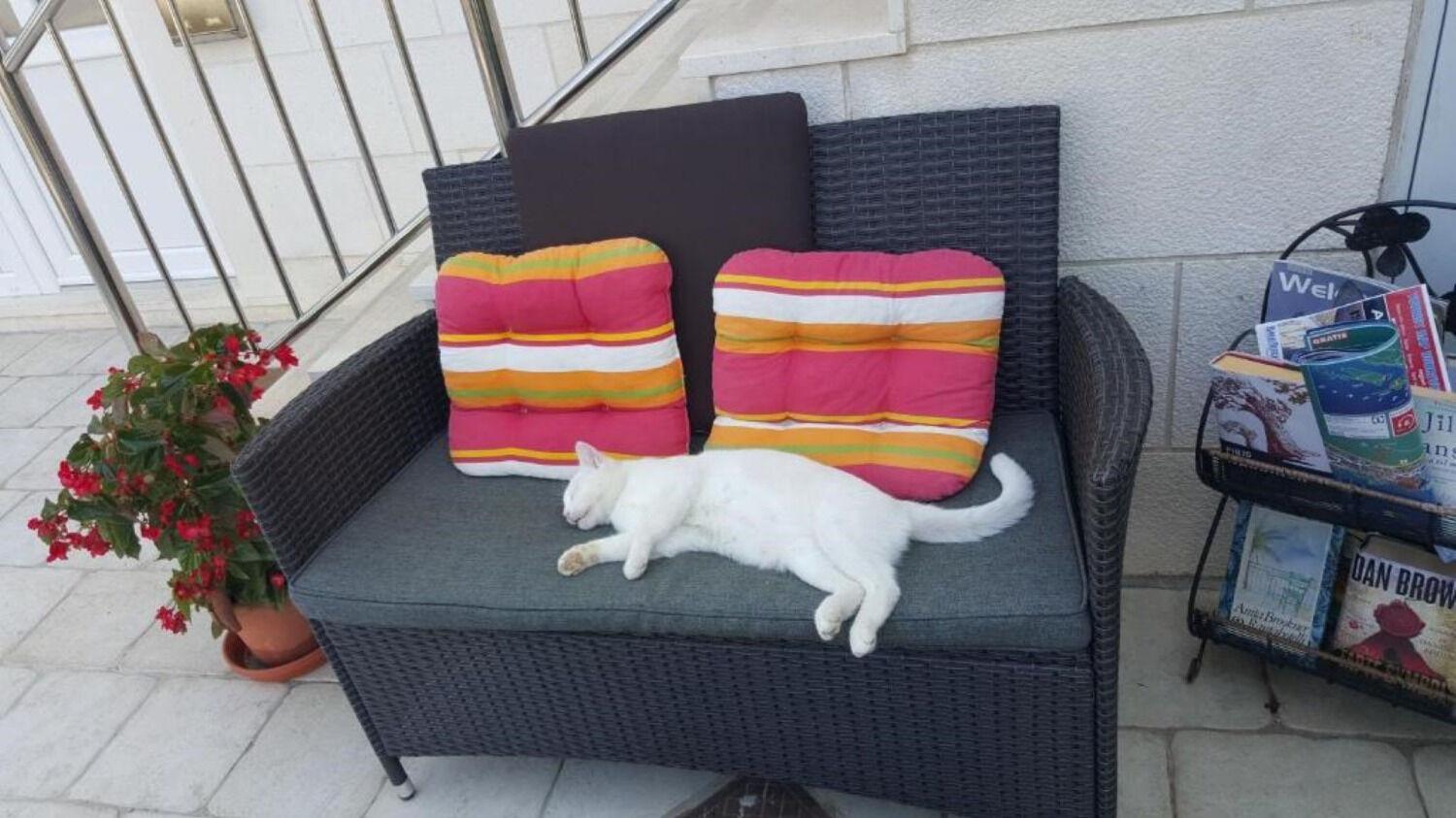 Mira - Comfy With Garden *