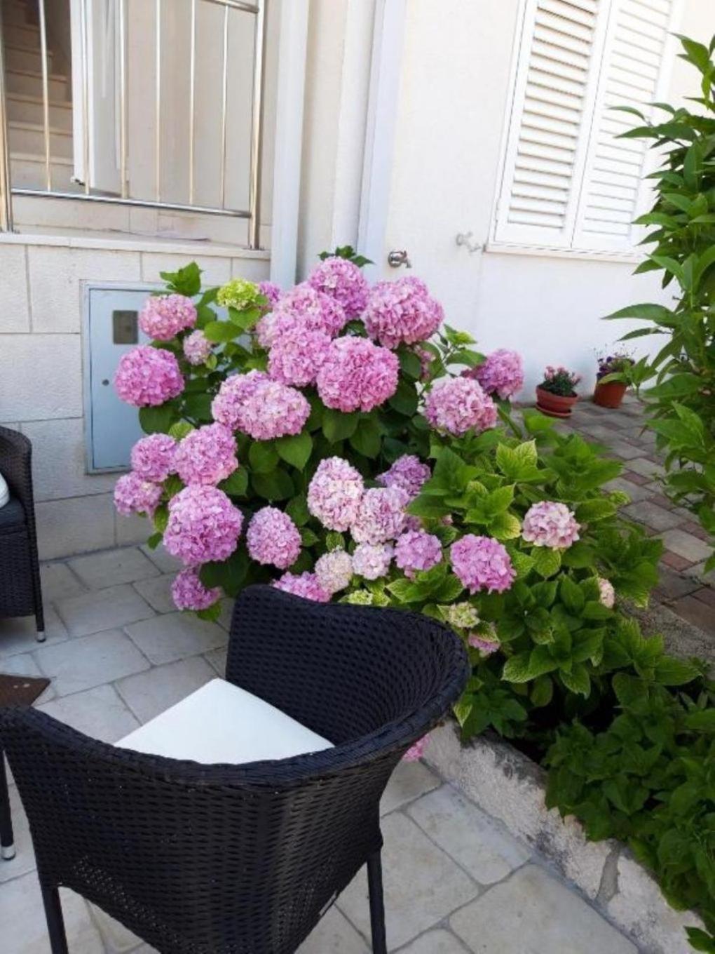 Apartment Mira - Comfy With Garden Dubrovnik